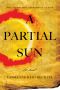 [The Tinsmith's Apprentice 01] • A Partial Sun